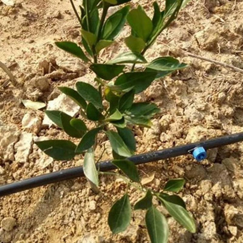 Drip Irrigation Emitters Types