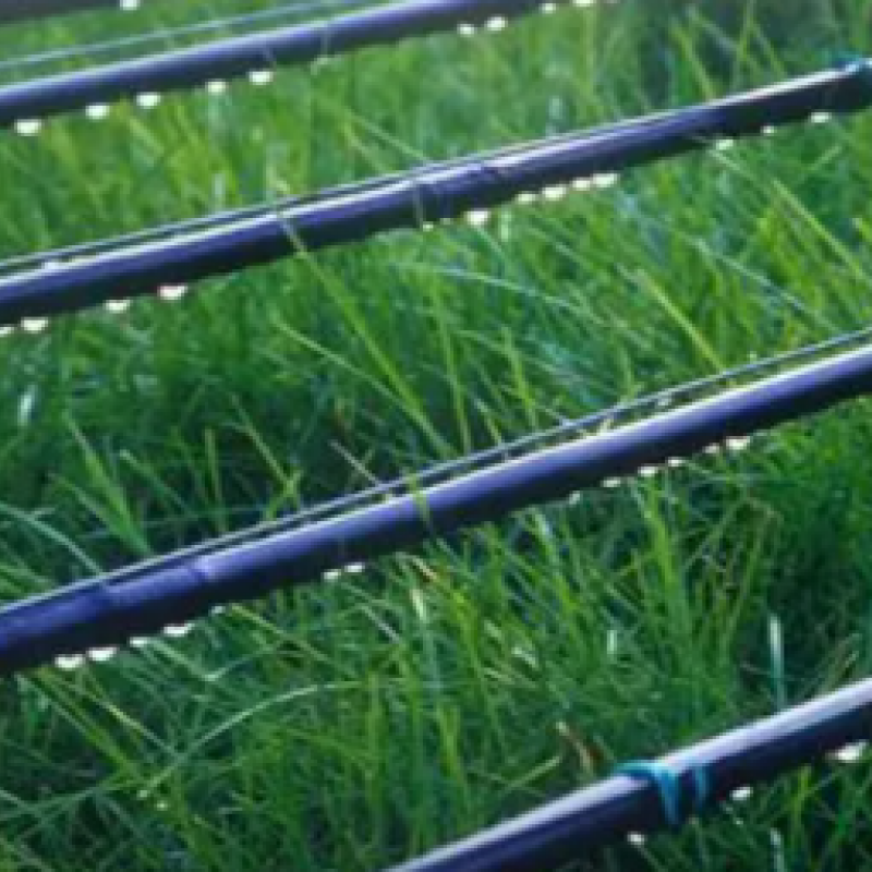 Drip Irrigation