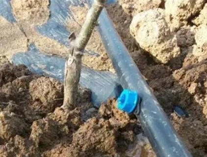 Drip Irrigation System