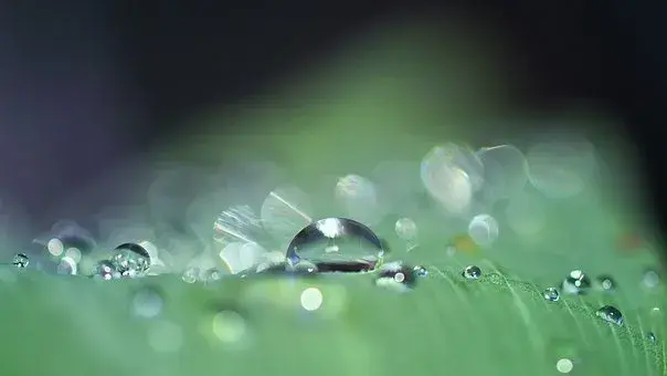Types of Nozzles in Drip Irrigation Systems.png