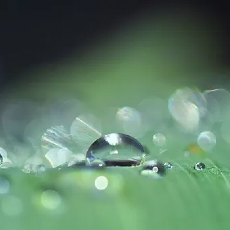 Nozzles in Drip Irrigation Systems