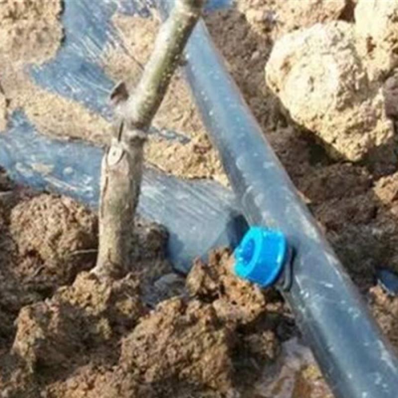 Drip Irrigation System
