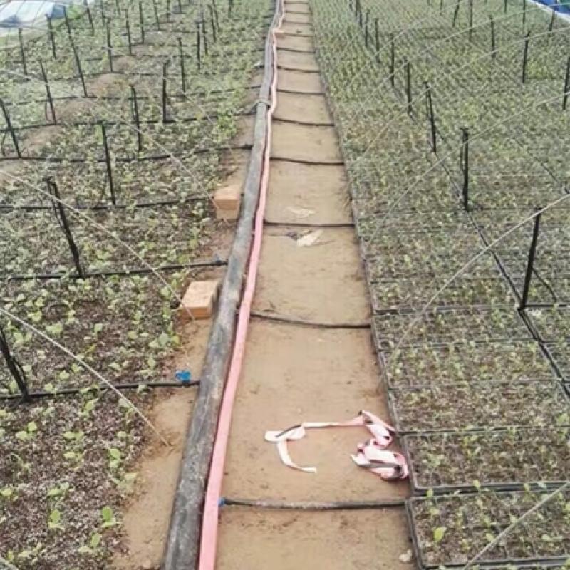Ground-inserting Micro-spray Cross Atomization