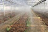 Five New Technologies for Irrigation in Foreign Orchards
