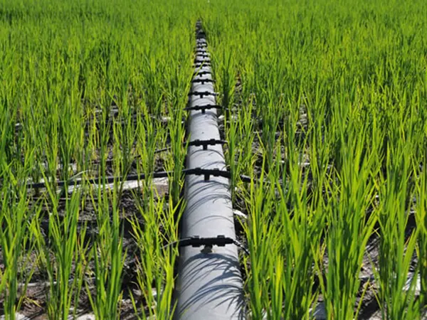 Drip irrigation project case