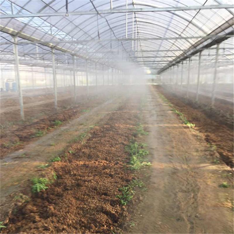 Five New Technologies for Irrigation in Foreign Orchards