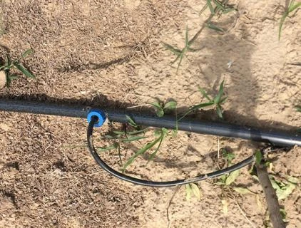 Drip arrow