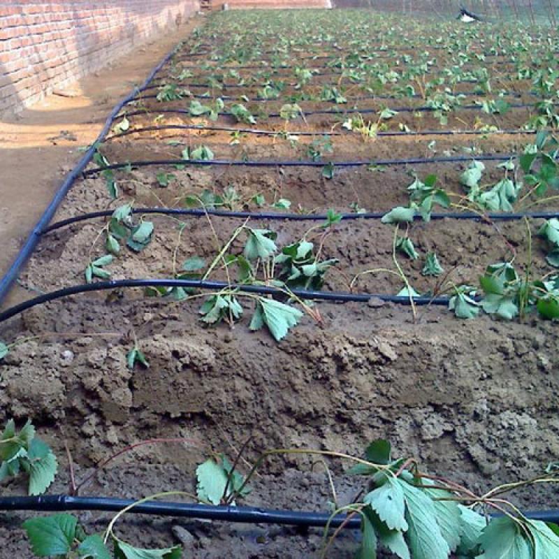 Drip Irrigation Belt