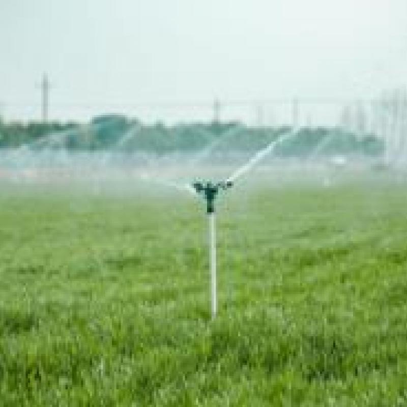Flow Rate
