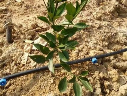 Drip Irrigation Emitters Types